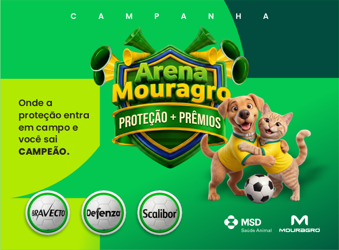 banners site 2026 3 (1)